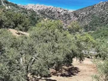Appartamento in vendita a Gioiosa Marea ME