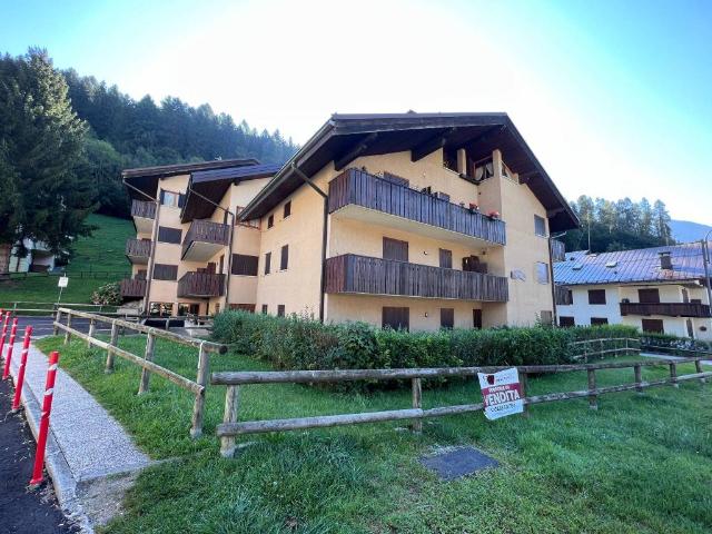 Appartamento in vendita a Giustino TN