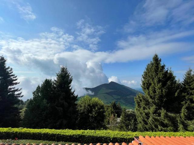 Appartamento in vendita a Grone BG