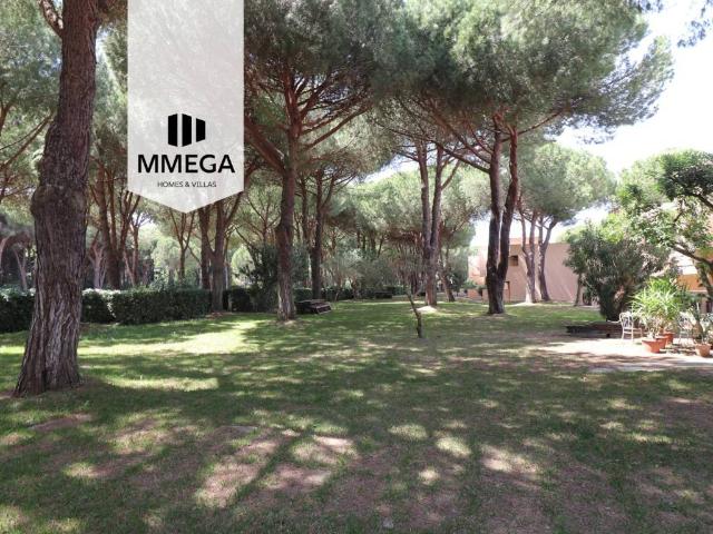 Appartamento in vendita a Grosseto GR