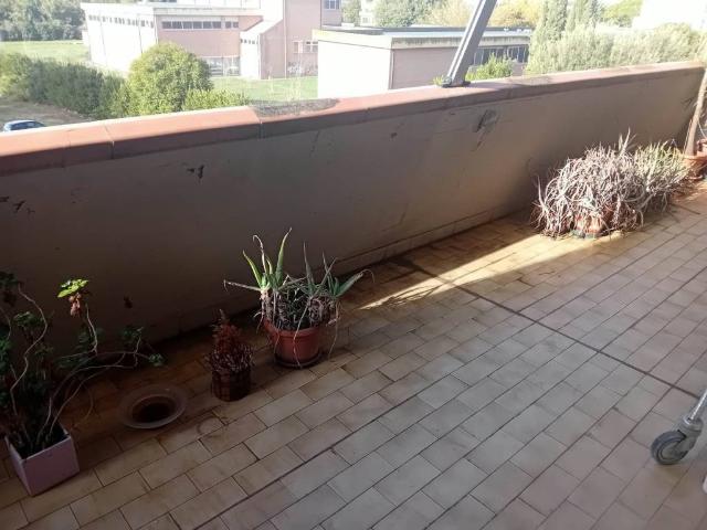 Appartamento in vendita a Grosseto GR