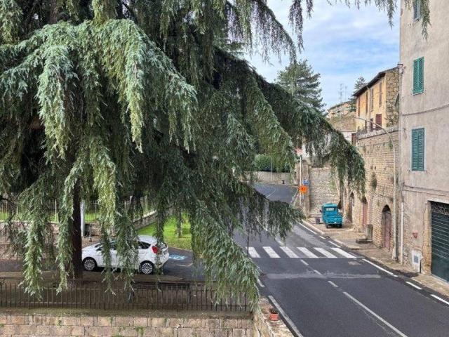 Appartamento in vendita a Grotte di Castro VT