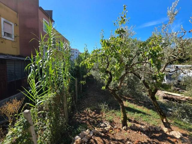 Appartamento in vendita a Isernia IS