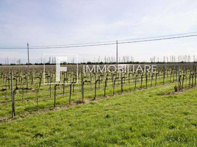 Appartamento in vendita a Jesolo VE