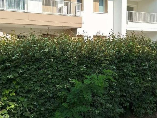 Appartamento in vendita a Jesolo VE