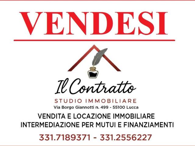 Appartamento in vendita a Lucca LU