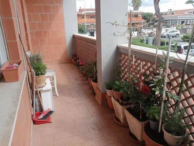 Appartamento in vendita a Ladispoli RM
