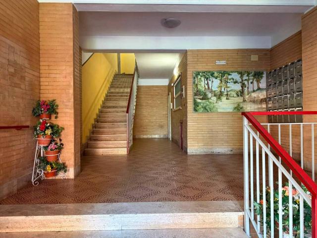 Appartamento in vendita a Ladispoli RM