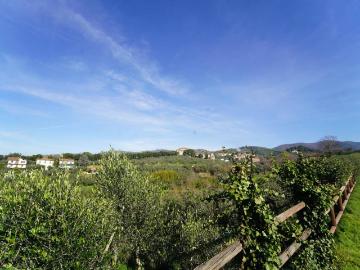 Appartamento in vendita a Lamporecchio PT