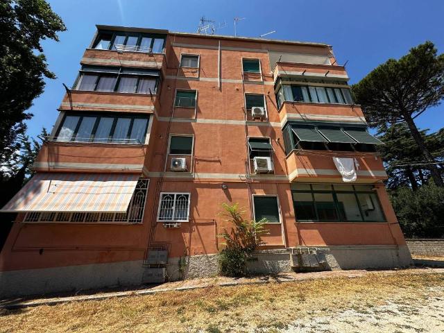 Appartamento in vendita a Lanuvio RM
