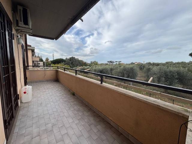 Appartamento in vendita a Lanuvio RM