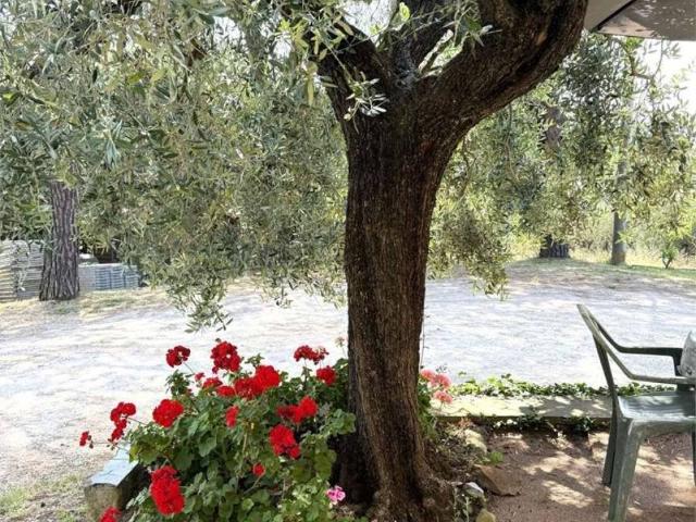 Appartamento in vendita a Larciano PT