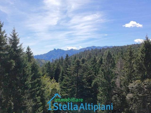 Appartamento in vendita a Lavarone TN