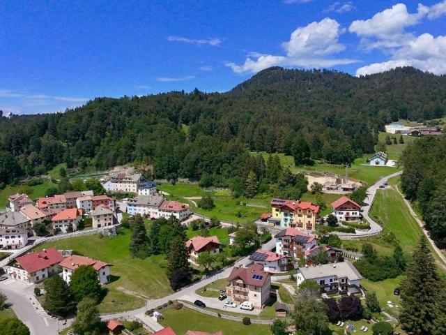 Appartamento in vendita a Lavarone TN