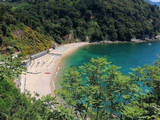 Appartamento in vendita a Lerici SP