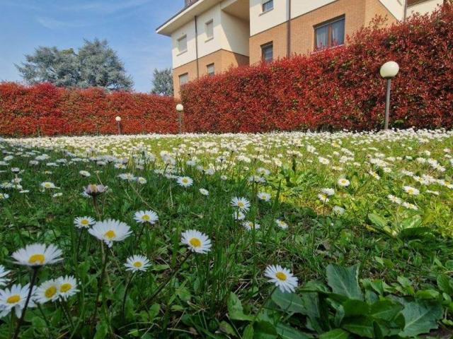 Appartamento in vendita a Limbiate MB
