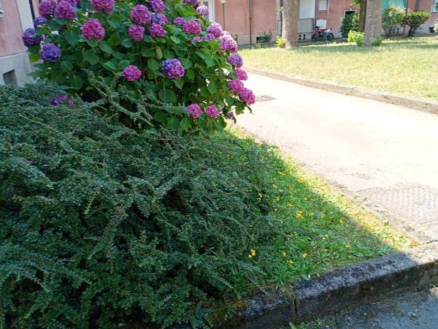 Appartamento in vendita a Lissone MB