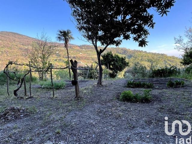 Appartamento in vendita a Longobardi CS