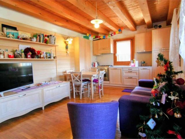 Appartamento in vendita a Lorenzago di Cadore BL