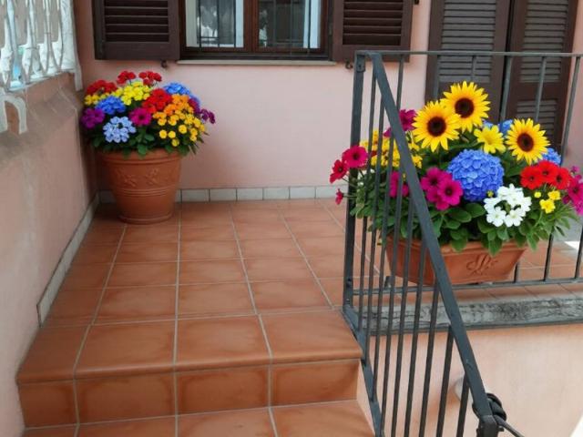 Appartamento in vendita a Palestro PV