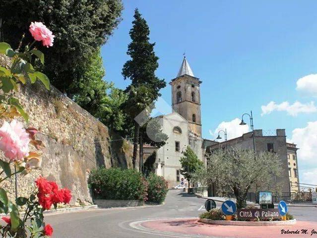 Appartamento in vendita a Paliano FR