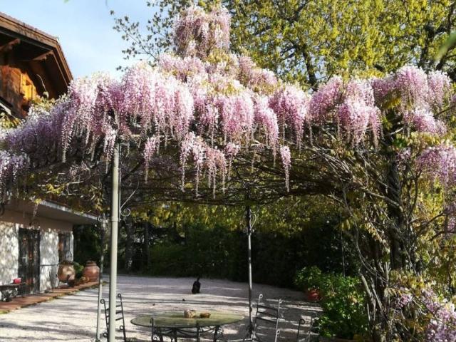 Appartamento in vendita a Passignano sul Trasimeno PG