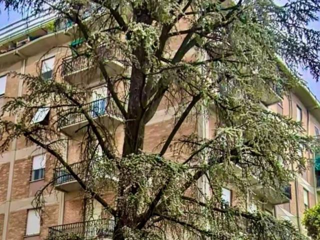 Appartamento in vendita a Parma PR