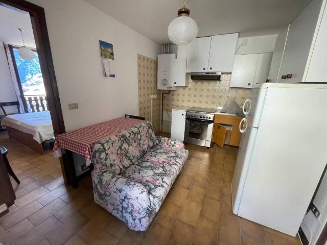 Appartamento in vendita a Pedesina SO