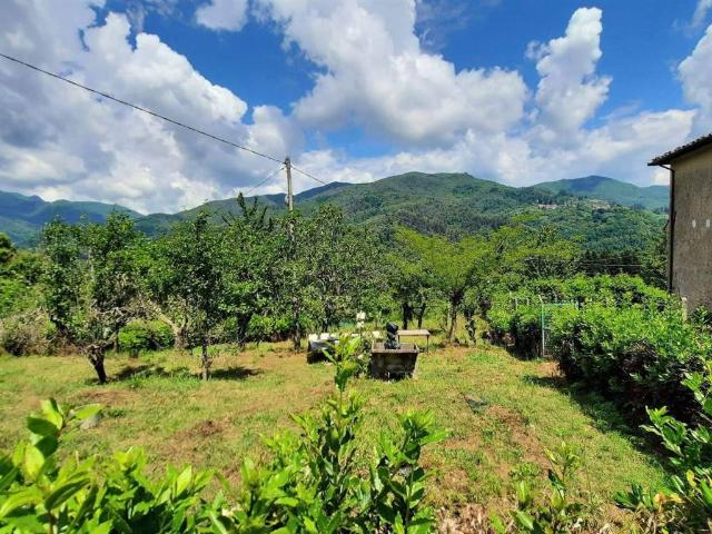 Appartamento in vendita a Pescaglia LU