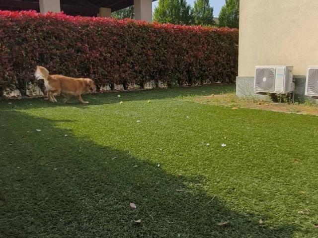 Appartamento in vendita a Peschiera Borromeo MI