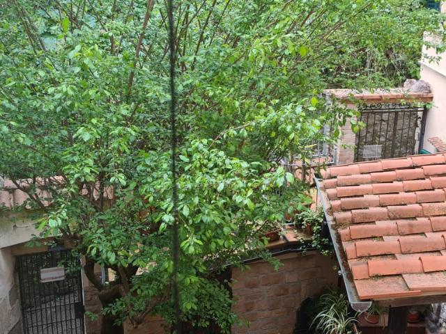 APPARTAMENTO in VENDITA a PESCIA di 5 vani