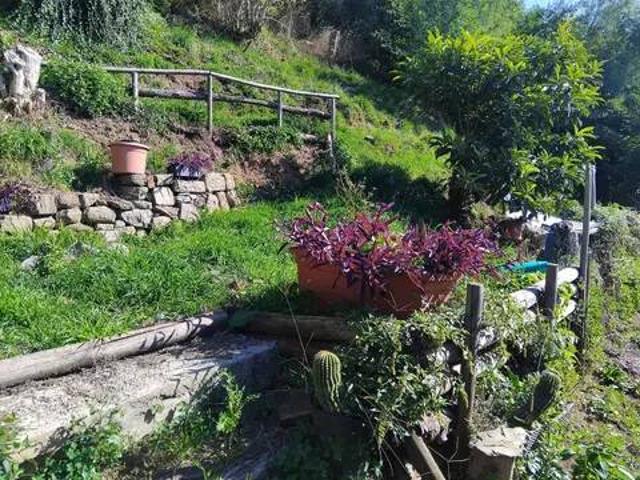 Appartamento in vendita a Pescia PT