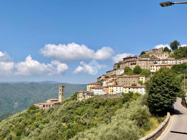 Appartamento in vendita a Pescia PT