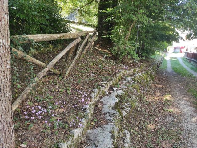 Appartamento in vendita a Piglio FR