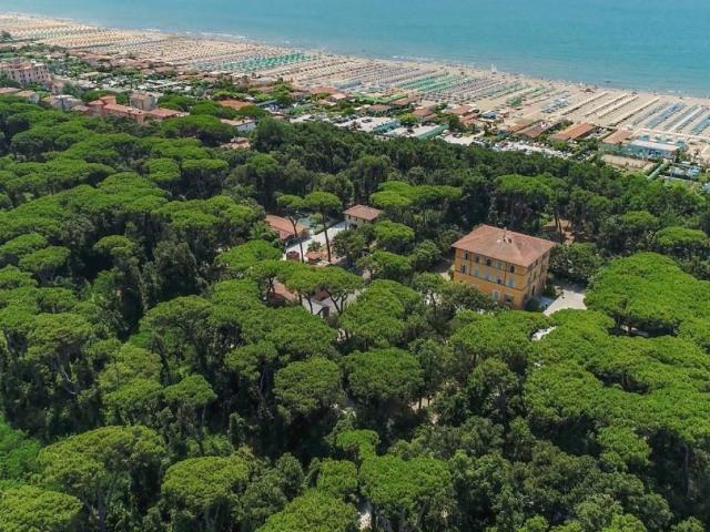 Appartamento in vendita a Pietrasanta LU