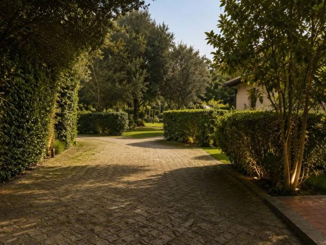 Appartamento in vendita a Pietrasanta LU