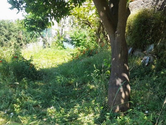 Appartamento in vendita a Pietrasanta