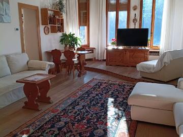 Appartamento in vendita a Pieve di Cadore BL