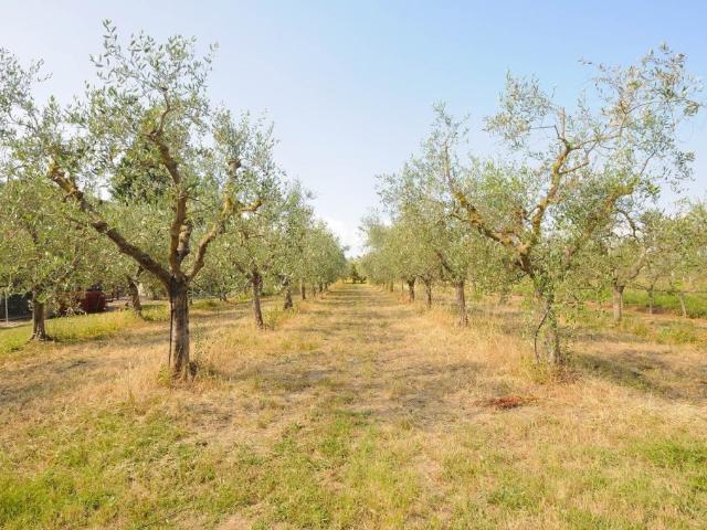 Appartamento in vendita a Piombino, La Sdriscia