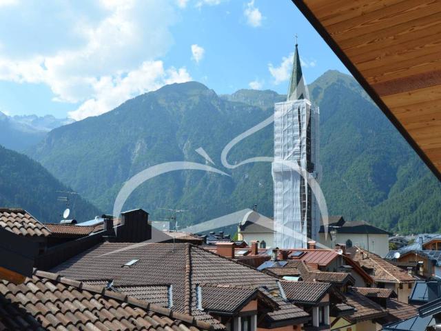 Appartamento in vendita a Pinzolo TN