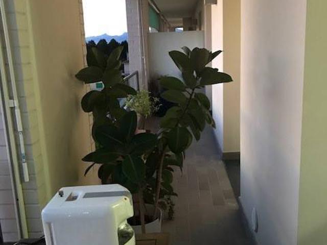 Appartamento in vendita a Pisa PI