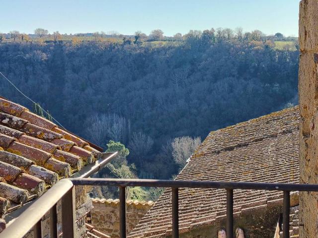 Appartamento in vendita a Pitigliano GR