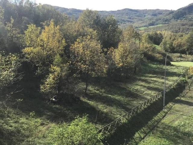 Appartamento in vendita a Polinago MO