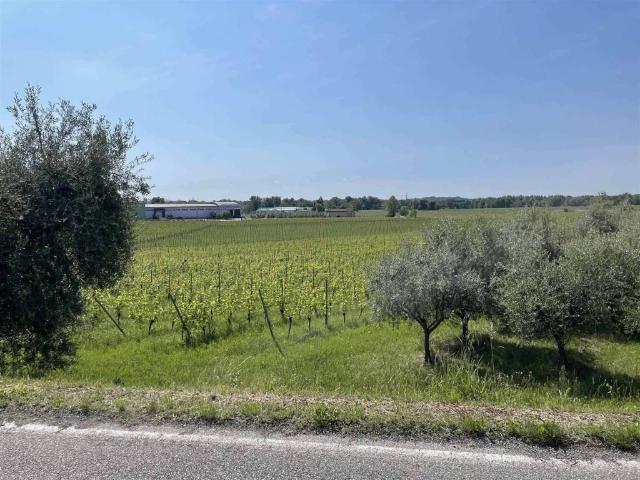 Appartamento in vendita a Polpenazze del Garda BS