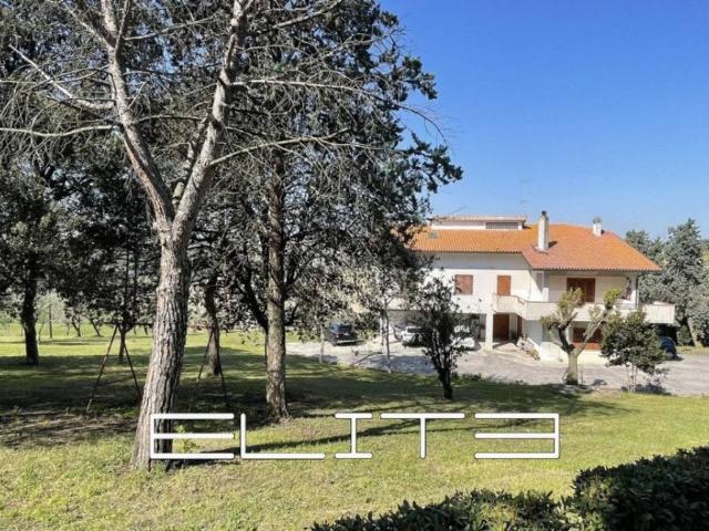 Appartamento in vendita a Polverigi AN