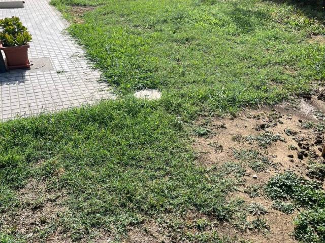 Appartamento in vendita a Ponsacco PI