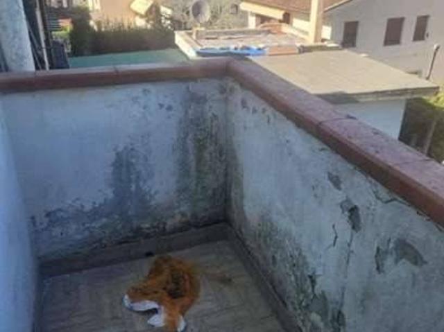 Appartamento in vendita a Pontedera PI