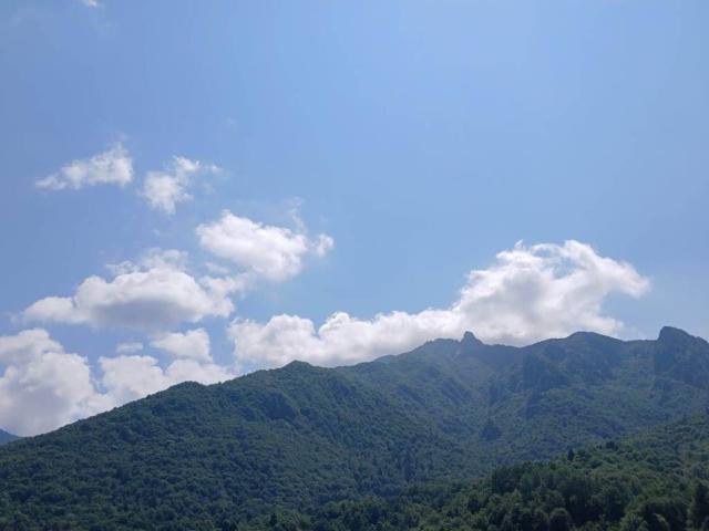 Appartamento in vendita a Posina VI