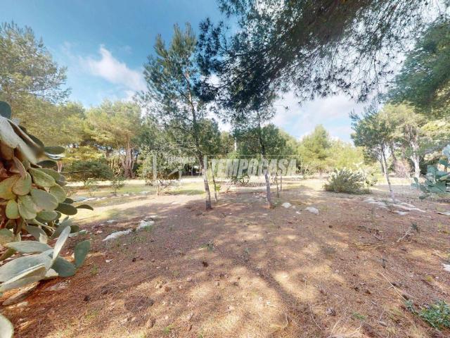 Appartamento in vendita a Porto Cesareo LE