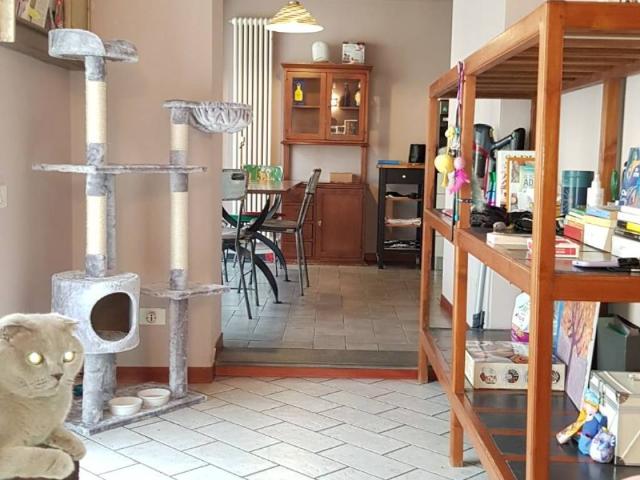 Appartamento in vendita a Prato PO